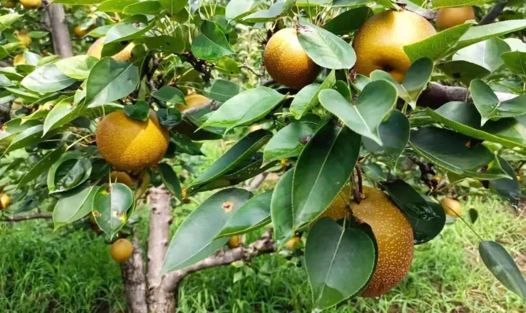 1627871334.jpg 1627871334.jpg