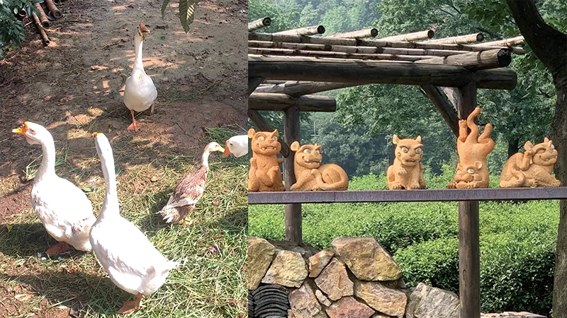 1627871463.jpg 3.jpg