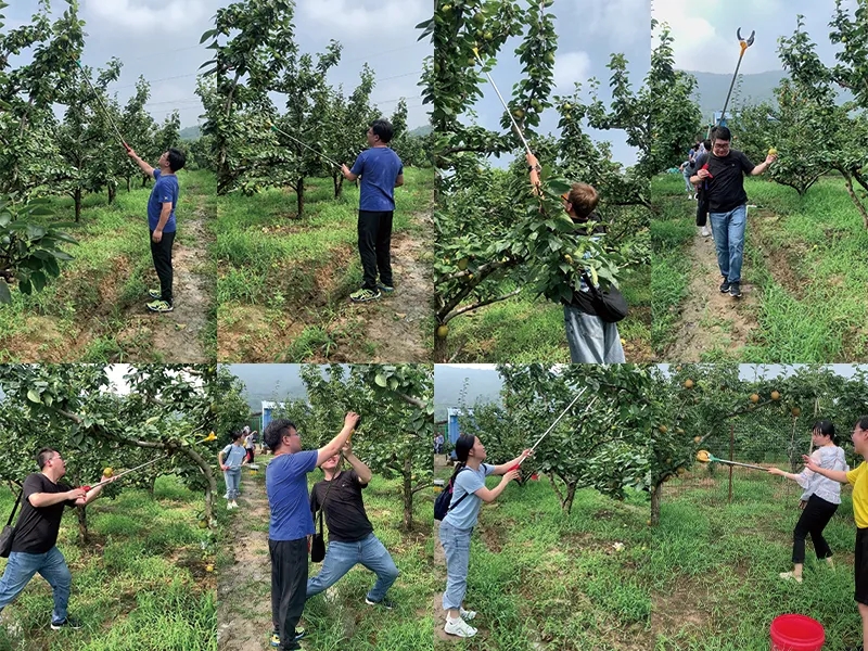 1627871562.jpg 4.jpg