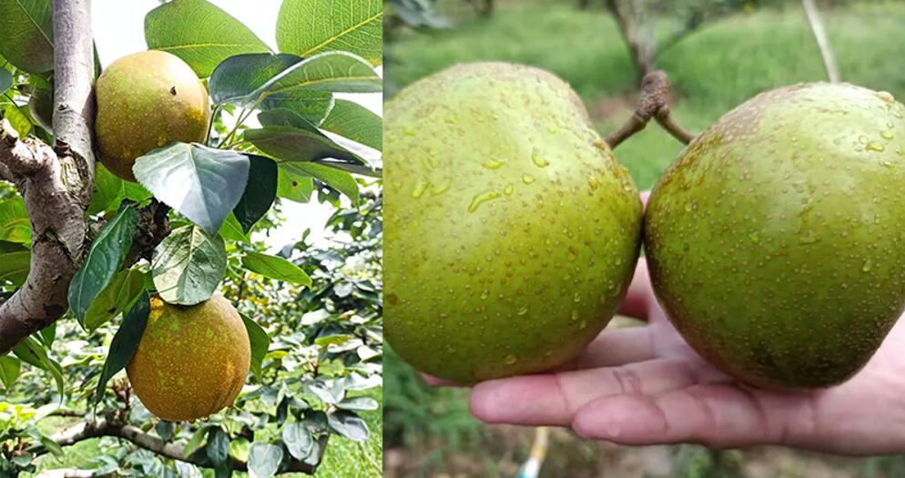 1627871574.jpg 1627871574.jpg