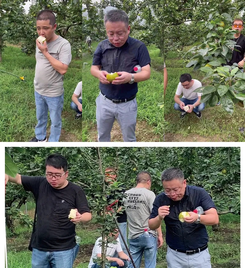 1627871600.jpg 6.jpg