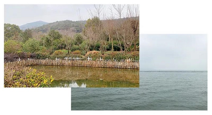 1643094934.jpg 2.jpg